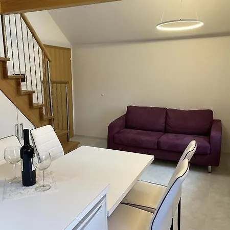 Apartament Studio Duplex Na Polju Ziri